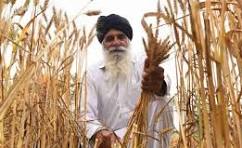 Farmer Name 1